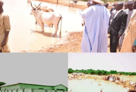 Over 140, 000 Hectares Wawa-Zange Grazing Reserve in Gombe Ready