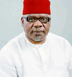 Chief Willy Ezugwu CNPP on democracy