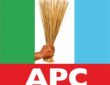 APC logo