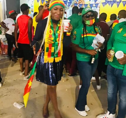 AFCON: Defeat To Host Country Is Harsh Reminder Of Eagle's Exit - Celia Osakwe-Hibbert