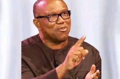 2023: Why Nigerians Irrespective Of Tribe, Religion Should Queue Behind Peter Obi &#8211; SERG, Abuja Business Reports Newspaper &amp; Magazine