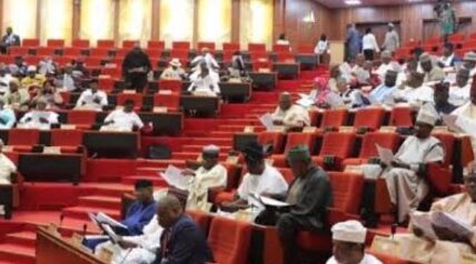 Nigerian Senate passes Start-up bill