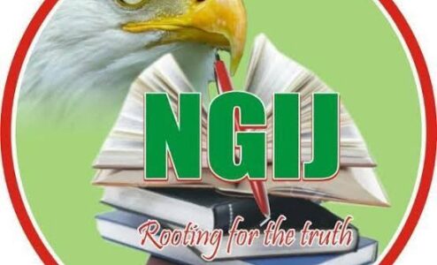 Nigerian Guild of Investigative Journalists (NGIJ) logo