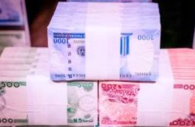 Unveiled Redesigned Naira Notes security features