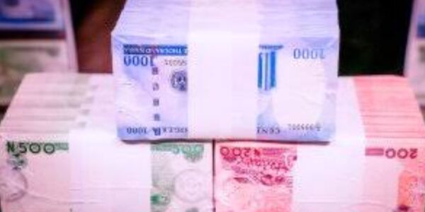 Unveiled Redesigned Naira Notes security features
