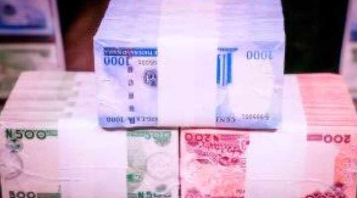 Unveiled Redesigned Naira Notes security features