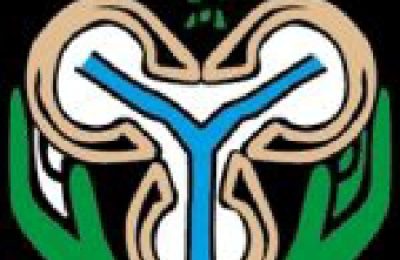 Central Bank of Nigeria (CBN) logo