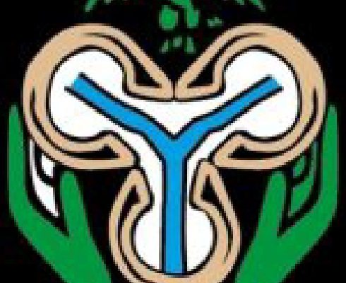 Central Bank of Nigeria (CBN) logo