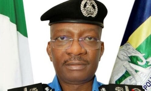 Acting Inspector General Of Police Kayode Egbetokun