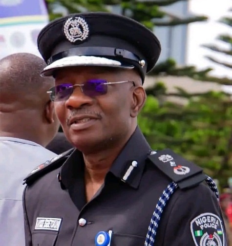 DIG Kayode Egbetokun, Acting Inspector-General of Police