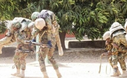 3 Officers, 22 Soldiers Killed in Niger Ambush - DHQ