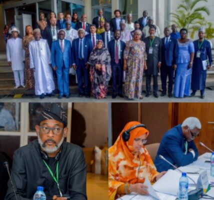 United Cities And Local Governments of Africa Ends EXCO Meeting in Lagos As ALGON National President Kolade David Alabi Makes Strong Case For Unity