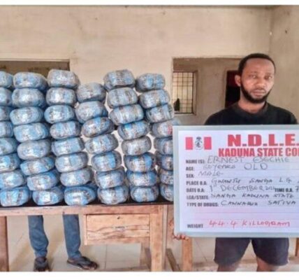 NDLEA Seizes Hong Kong-bound Ilicit Drugs Concealed In Cloths, Dolls, Buttons, Milo