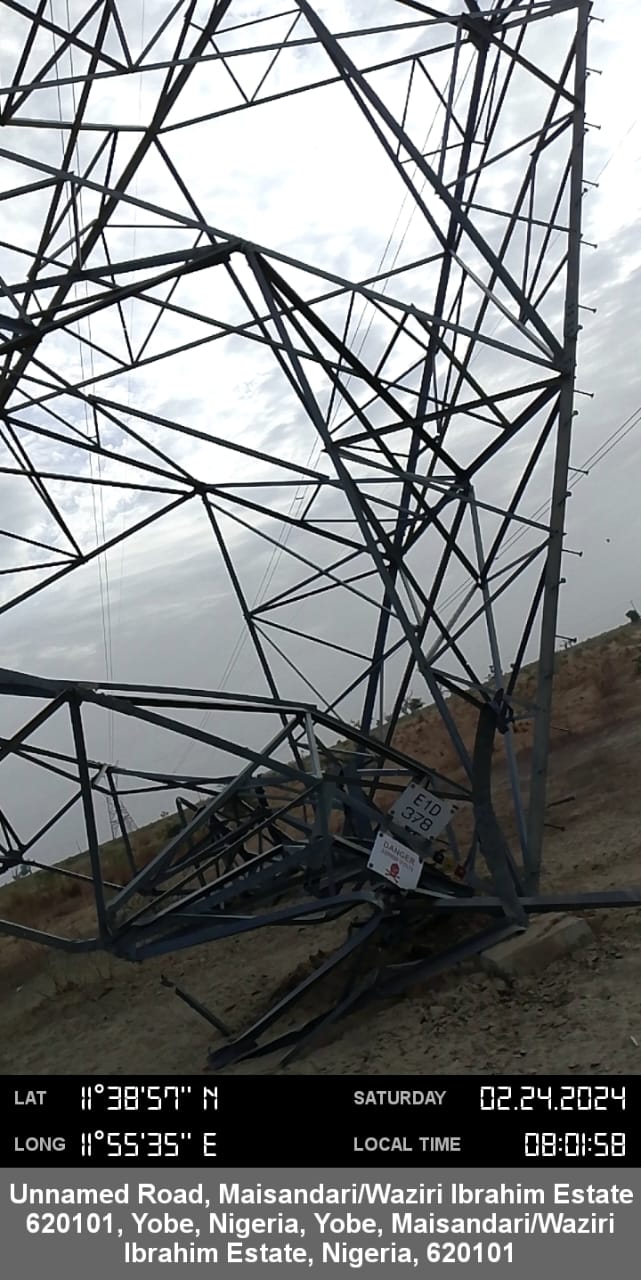 T377 and T378, along the Gombe – Damaturu 330kV transmission line