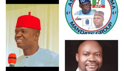 One-Year-In-Office: Ebonyi State Chapter of Asiwaju Shettima Mandate Group Felicitates Governor Francis Ogbonna Nwifuru, Says He Surpassed Expectations