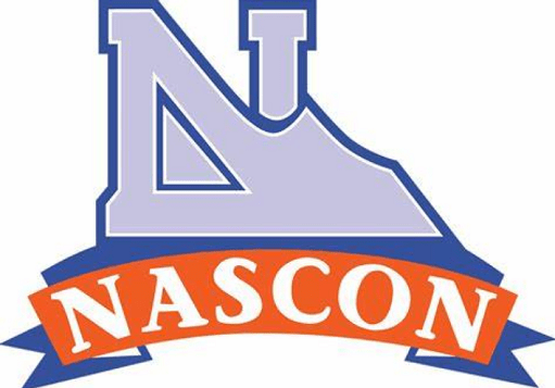 NASCON Allied Industries Plc