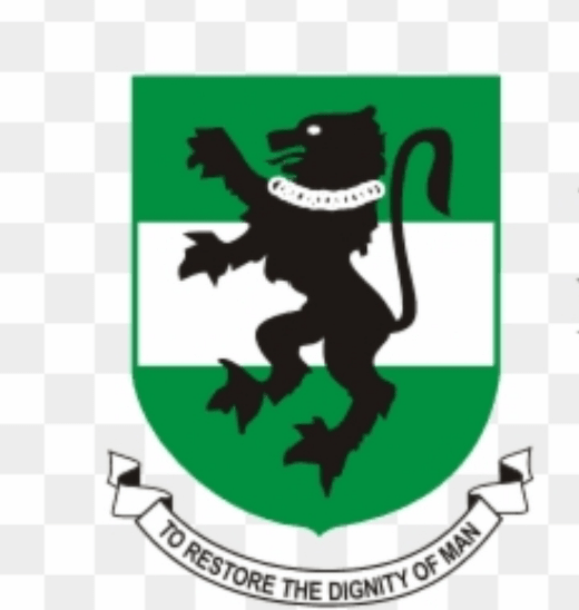 University of Nigeria Nsukka (UNN) logo