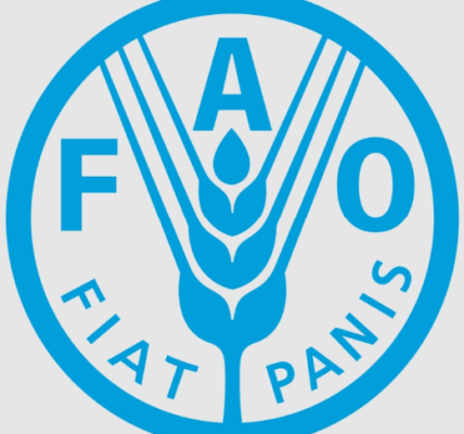 FAO logo