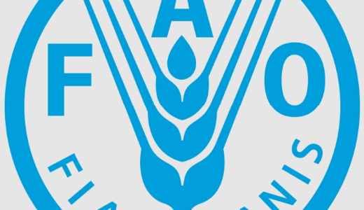 FAO logo