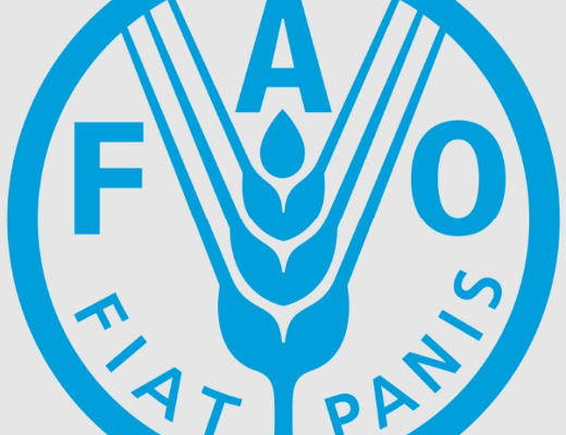 FAO logo