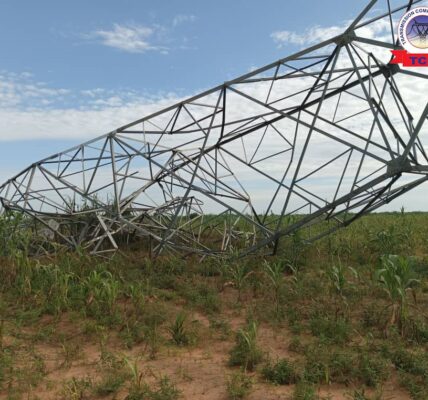 Vandals Destroy Critical Transmission Tower, Plunging Damaturu and Maiduguri into Darkness