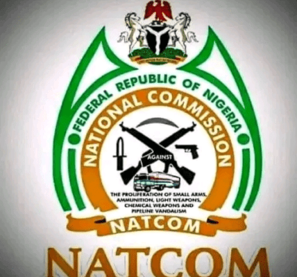 The Needless Politicization of NATCOM: A Threat to Nigeria's Security