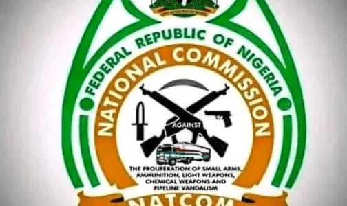 The Needless Politicization of NATCOM: A Threat to Nigeria's Security