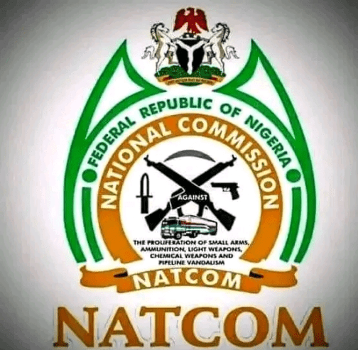 The Needless Politicization of NATCOM: A Threat to Nigeria's Security