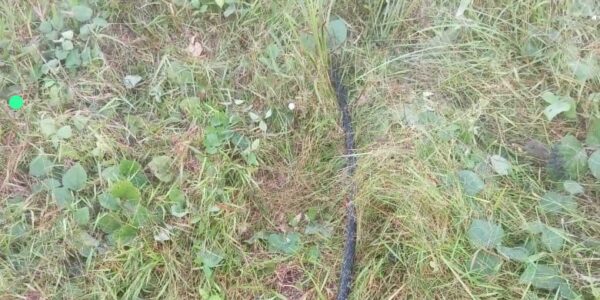 Vandals' Attack Disrupts Ongoing Repairs of Ahoada-Yenagoa 132kV Line, Steal Tower Components from Benin-Egbin, Benin-Omotosho 330kV Transmission Lines