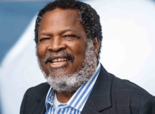 Chairman of THISDAY and Arise News Group Nduka Obaigbena