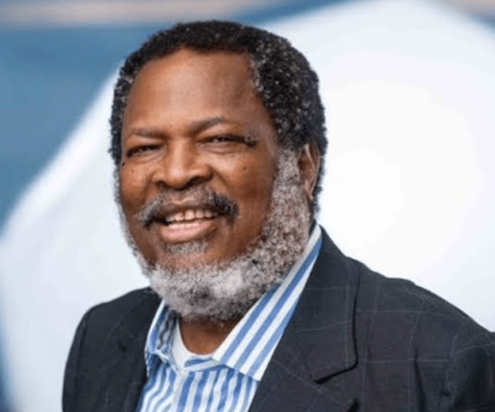 Chairman of THISDAY and Arise News Group Nduka Obaigbena