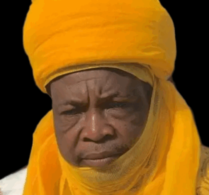 Alhaji Ibrahim Musa Suleja Appointed NIPOST Spokesman