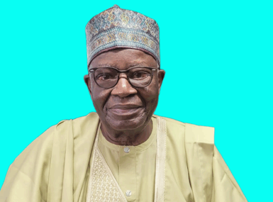 Prof. Ibrahim Gambari to Lead National Discourse at IEPA Annual Meeting