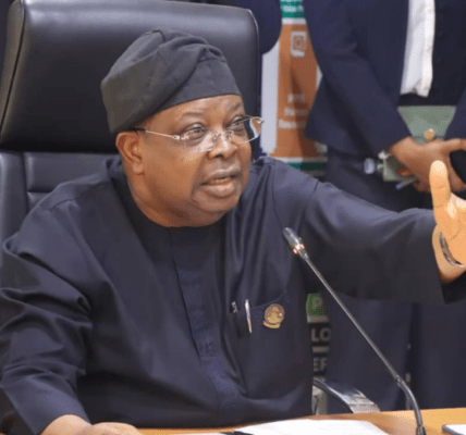 Newly appointed Minister of Power, Chief Joseph Olasunkanmi Tegbe,