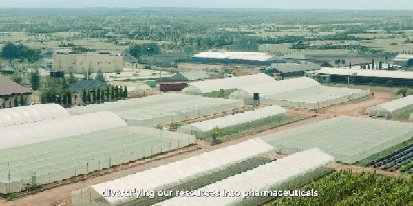 WHAT IF NIGERIA NEVER DISCOVERED OIL — AND BUILT ITS FUTURE ON AGRICULTURE?