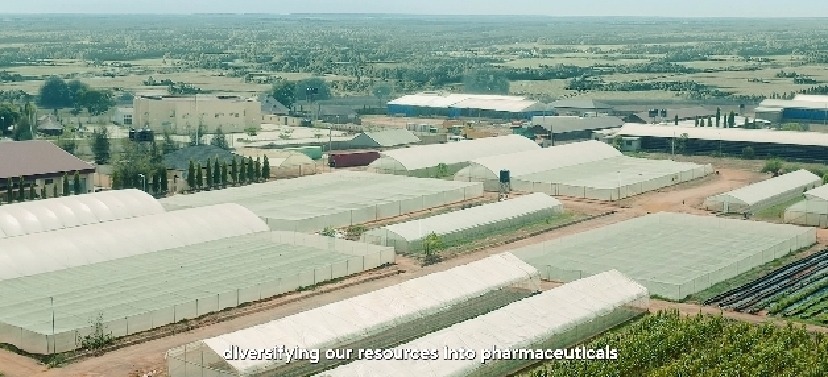 WHAT IF NIGERIA NEVER DISCOVERED OIL — AND BUILT ITS FUTURE ON AGRICULTURE?