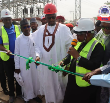 Power Minister Commissions New Transmission Substation, Six Transformer Projects In Kano And Katsina, Boosts Power Supply